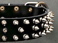Black Leather Spiked Dog Collar for Labrador
