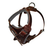 Comfort Padded Dog Harness for Labrador