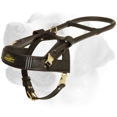 Professional Assistance Dog Leather Harness For Labrador Professional Assistance Dog Leather Harness For Labrador