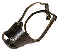 Latigo Safety Muzzle for Labrador