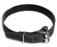 Leather Field Collar for Labrador