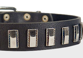 Ornament Dog Collar made of leather for Labrador