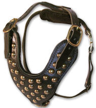 Two-Ply Latigo Dog Harness with Studs for Labrador