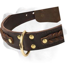 Labrador Wide Decorative Leather Collar