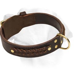 Two Ply Braided Leather Collar For Labrador