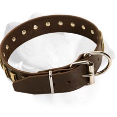Designer Leather Collar For Labrador