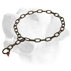 Quality Choke Chain Labrador Collar in black     color