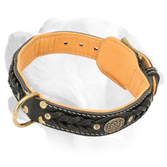 Handcrafted Leather Labrador Collar Decorated with Braids