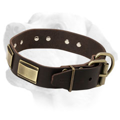 Firm Leather Labrador Collar Equipped with Vintage Brass Buckle