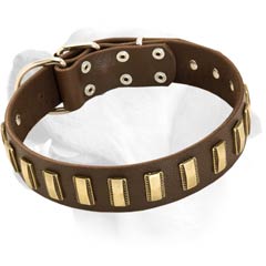 Labrador Decorative Collar With Brass Plates