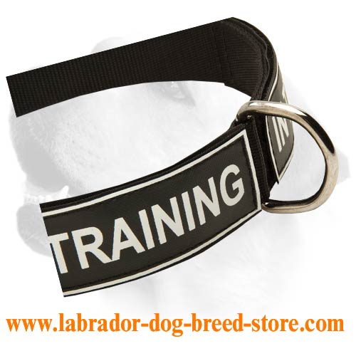 Labrador Lightweight Nylon Collar