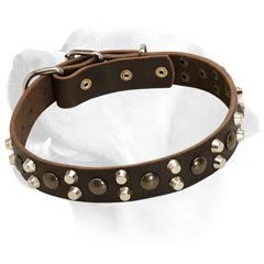 Labrador Handcrafted Leather Dog Decorative Collar
