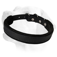 Labrador Dog Leather Collar