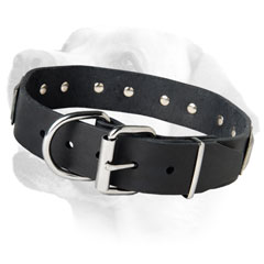 Labrador Wide Dog Leather Collar