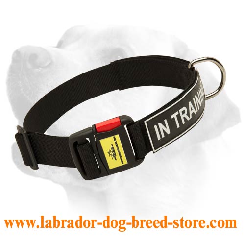 All Weather Nylon Collar For Labrador