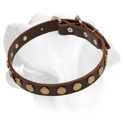 Labrador Decorative Durable Dog Leather Collar