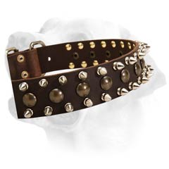 Labrador Decorative Durable Dog Leather Collar