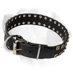 Studded Leather Labrador Collar With Nickel Plated Buckle