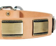 Designer Dog Collar for Labrador-Leather Custom Collar