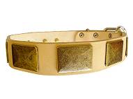 Handcrafted leather dog collar with vintage massive plates
