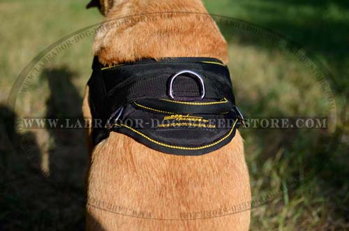 D-Ring On Nylon Labrador Harness for Training