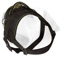 Labrador Nylon Harness With Strong Buckle