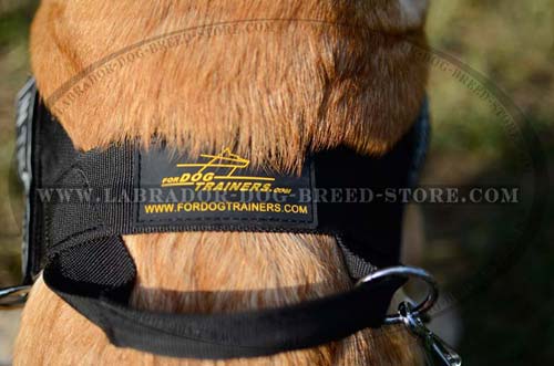 Comfortable Nylon Handle On Non-Toxic Firm Labrador Harness