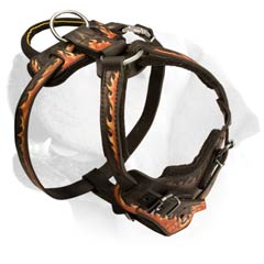 Durable Decorative Handmade Leather Harness For Labrador