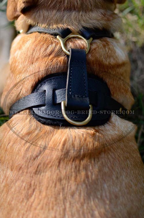 Handmade Leather Dog Harness For Labrador