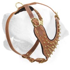 Labrador Spiked Decorative Leather Harness