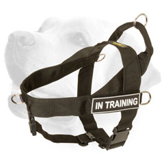 Labrador Harness Nylon Training With Extra D-Rigns