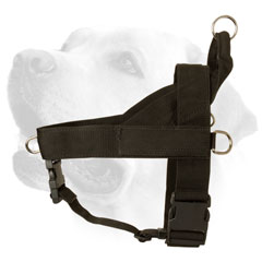 Adjustable Nylon Labrador Harness Training