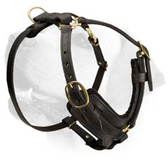 Labrador Leather Harness With Improved Comfort