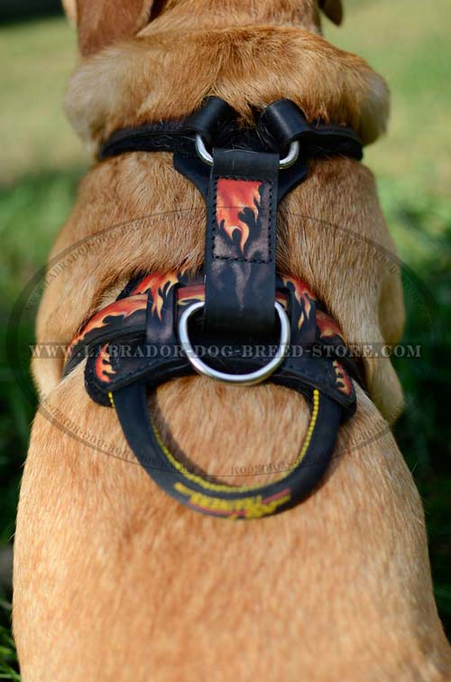 Labrador Designer Leather Dog Harness With Handle