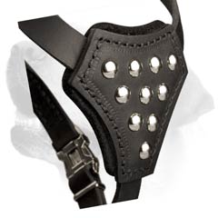 Labrador Decorative Leather Harness Of Original Design
