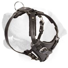 Attack/Agitation Buckled Leather Harness For Labrador