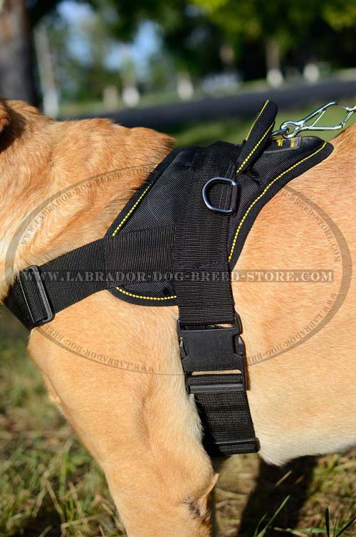Labrador Nylon Dog Harness
