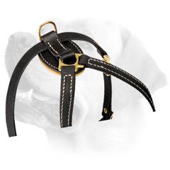 Decorative Leather Puppy Harness For Labradors