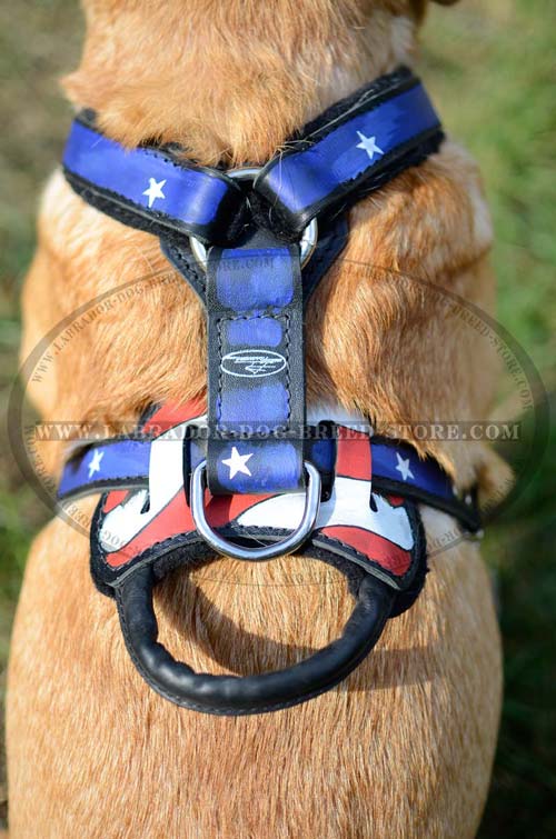 Labrador Designer Leather Dog Harness