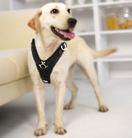 Labrador Exclusive Luxury Handcrafted Padded Leather Dog Harness