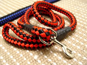 Cord nylon dog leash for large dogs for Labrador dog