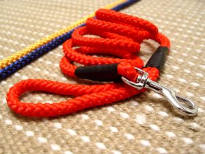 Cord nylon dog leash for Labrador dog