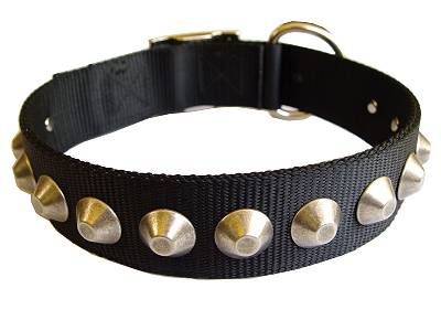 Gorgeous Wide Nylon Dog Collar With Nickle Pyramids for labrador dog
