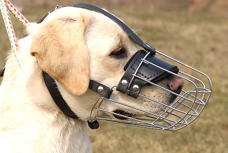 Basket Wire Dog Muzzle Light 
For Labrador