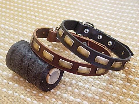 Leather special dog collar with plates for Labrador