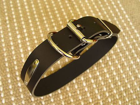 Leather dog collar with id tag Labrador dog