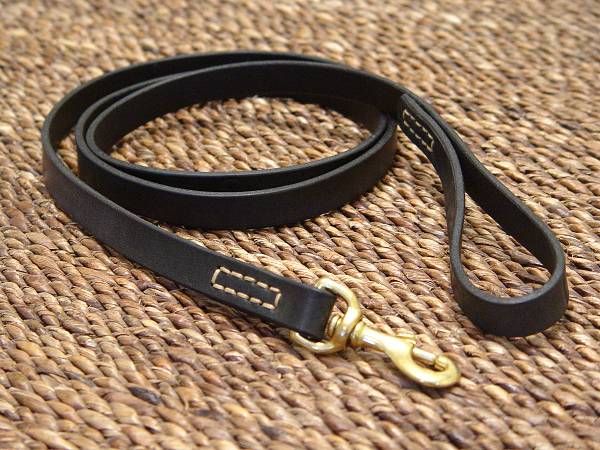 Leather dog leash stitched for Labrador dog