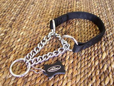All Weather Nylon Martingale Dog Collar labrador dog