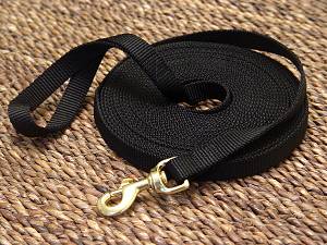 Nylon dog leash for training and tracking for Labrador dog