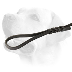 Soft Handle On Leather Dog Leash For Labrador 